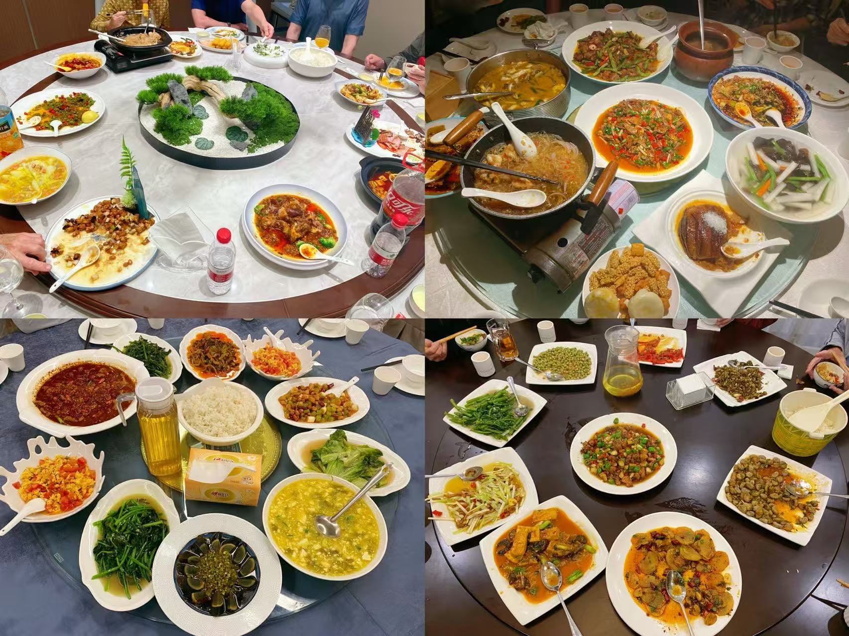 A collage of Sichuan cuisine featured during the Sichuan Birding Tour in China, guided by Summer Wong.