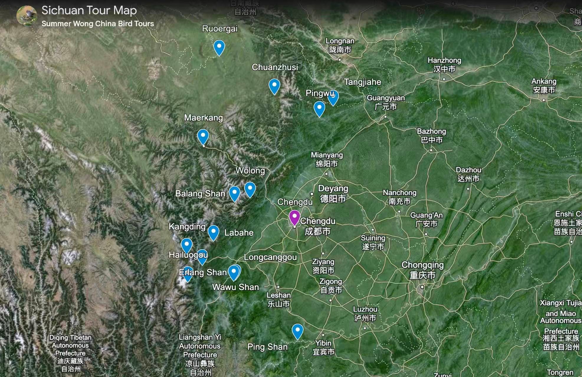 Map of Sichuan Birding Tour in China, showing key birding sites such as Longcanggou, Balangshan, Wolong, and Ruoergai Plateau.